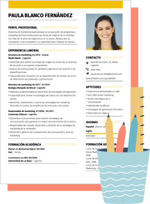 Ejemplos De Currículum